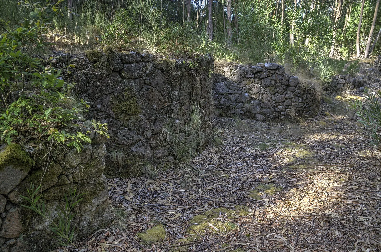 Cividade de Âncora